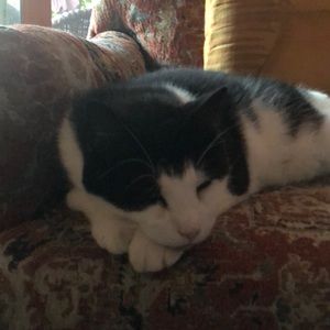 Meet your Posher, Ron